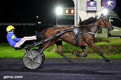 25/10/2024 - Vincennes - Prix Uranie : Arrivée