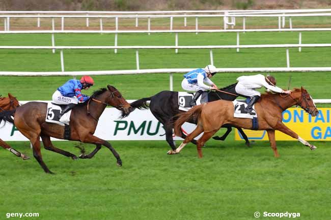 14/11/2024 - Fontainebleau - Prix Denisy : Arrivée