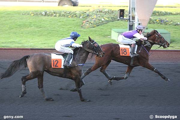 23/12/2008 - Vincennes - Prix de Tulle : Ankunft