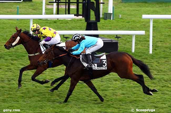 13/11/2009 - Maisons-Laffitte - Prix de Clairefontaine en Yvelines : Ankunft