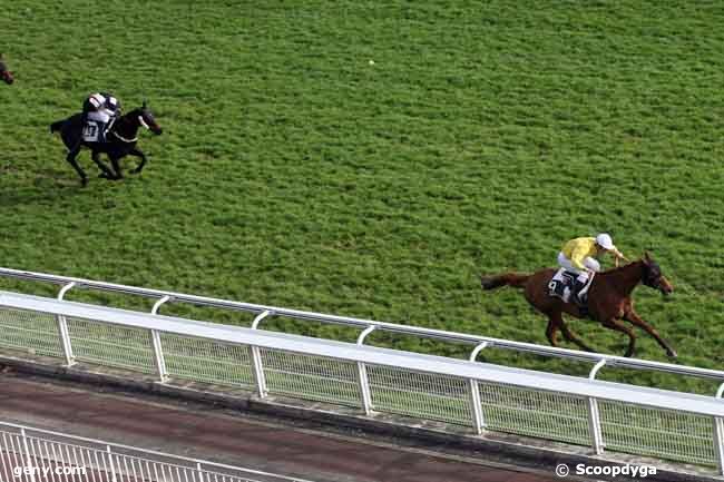 18/11/2009 - Auteuil - Prix d'Aigueperse : Arrivée