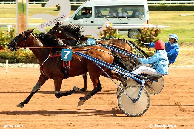 09/09/2014 - Toulouse - Prix du Comité Régional du Sud-Ouest : Result