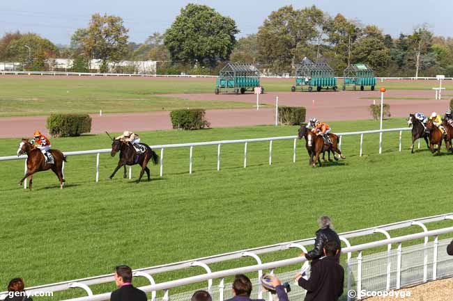 10/11/2014 - Angers - Grand Handicap d'Angers - Prix de l'Agglomération : Arrivée