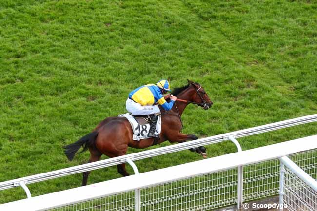 27/05/2016 - Auteuil - Prix Mélinoir : Ankunft