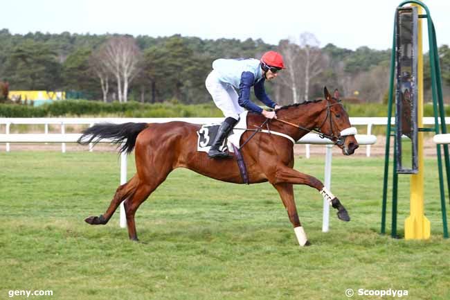 03/03/2017 - Fontainebleau - Prix des Heronnières : Arrivée