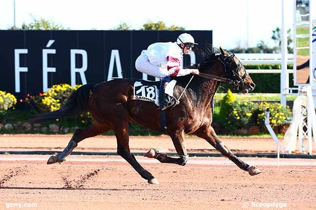 08/02/2019 - Cagnes-sur-Mer - Prix de Bédarieux : Arrivée