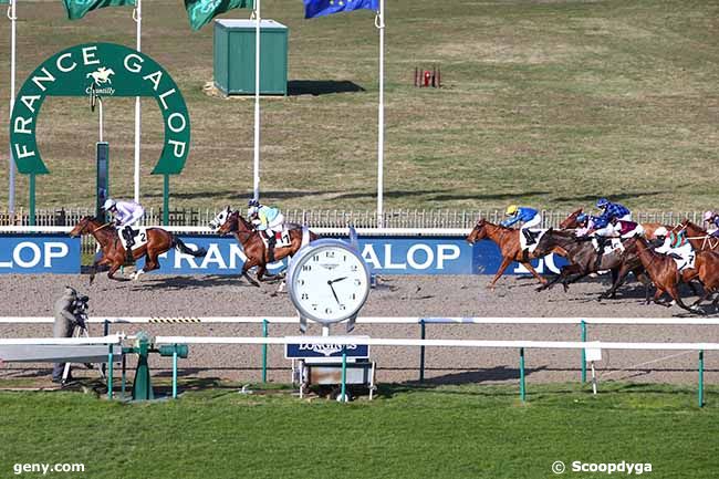 13/02/2021 - Chantilly - Prix de la Route des Grands Chênes : Arrivée