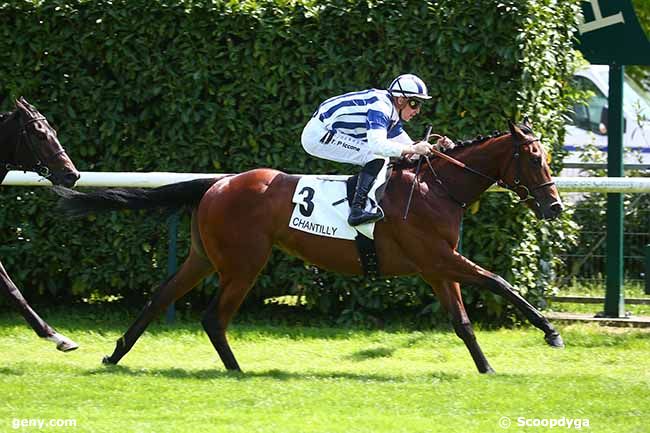 10/05/2022 - Chantilly - Prix du Coq Chantant : Arrivée