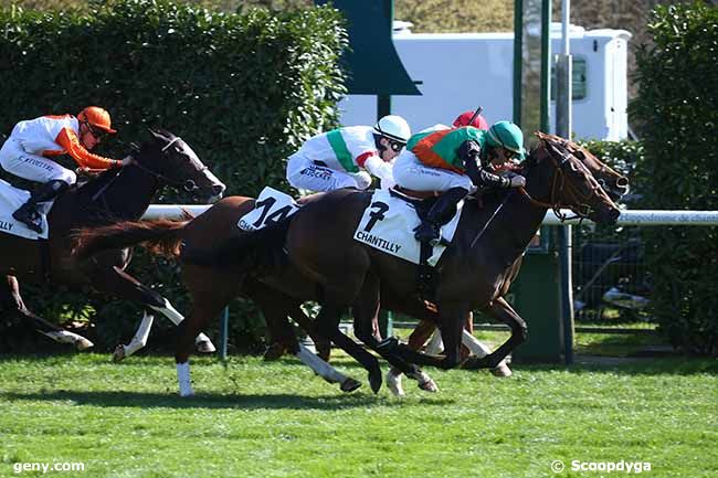 05/04/2023 - Chantilly - Prix du Potager des Princes : Arrivée