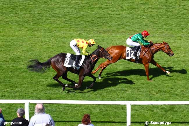 03/05/2023 - Fontainebleau - Prix des Alisiers : Arrivée