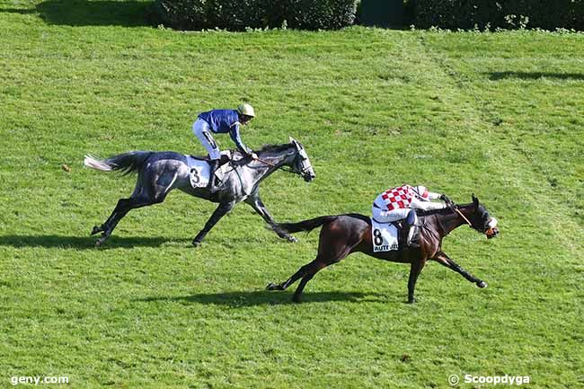 03/10/2023 - Auteuil - Prix Vivienne : Arrivée