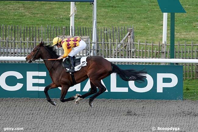 15/02/2024 - Chantilly - Prix de la Fontaine d'Orry : Arrivée