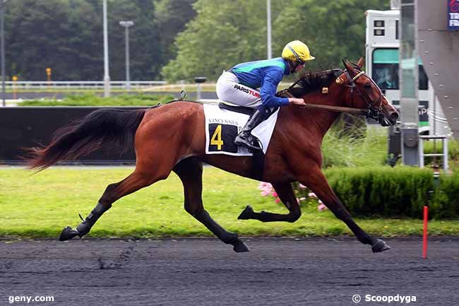 11/06/2024 - Vincennes - Prix Serpentis : Arrivée