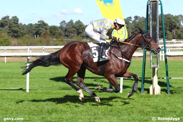 05/10/2024 - Fontainebleau - Steeple-Chase de Début : Arrivée