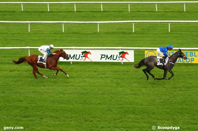 14/11/2024 - Fontainebleau - Prix de la Porte Nadon : Arrivée