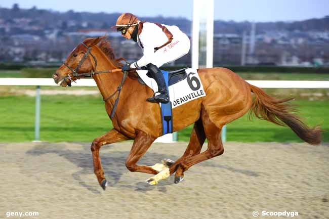 04/01/2025 - Deauville - Prix de la Beauvoisinière : Arrivée