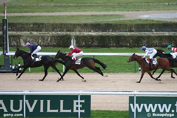 18/12/2008 - Deauville - Prix du Merlerault : Arrivée