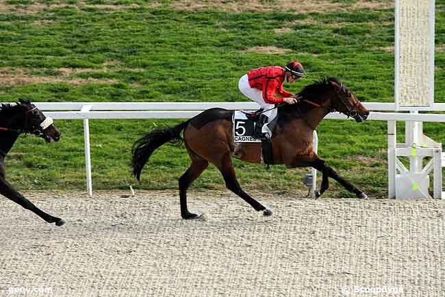 20/01/2009 - Cagnes-sur-Mer - Prix du Roussillon : Arrivée