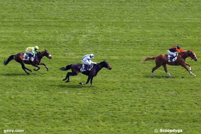 22/04/2009 - Auteuil - Prix Collins : Ankunft