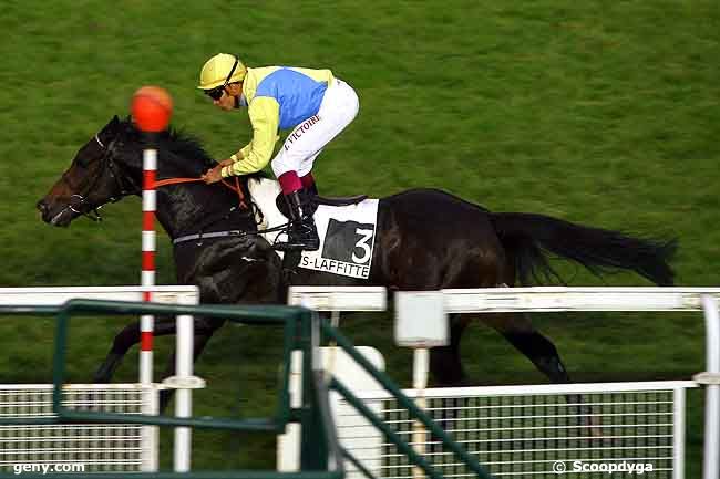 09/11/2009 - Maisons-Laffitte - Prix Féerie : Arrivée