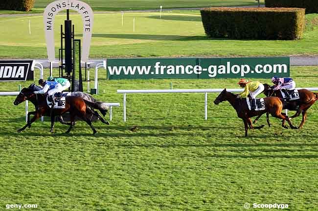 13/11/2009 - Maisons-Laffitte - Prix d'Uzès : Result