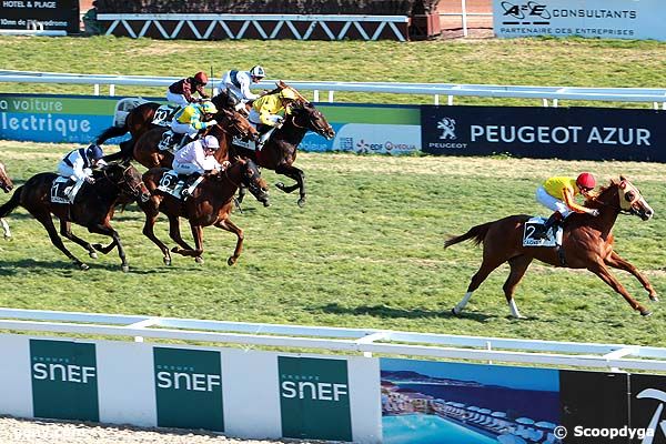 15/02/2012 - Cagnes-sur-Mer - Prix des Spirées : Arrivée