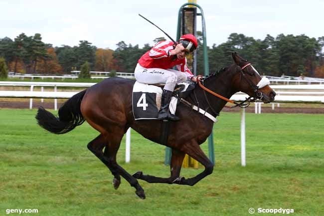 17/11/2014 - Fontainebleau - Prix de Thomery : Arrivée