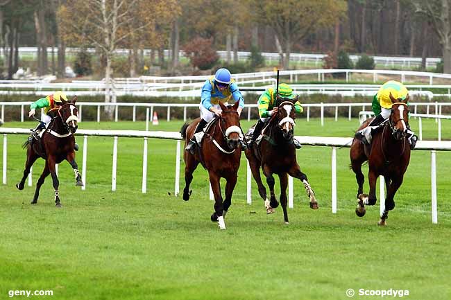 16/11/2015 - Fontainebleau - Prix de Thoméry : Arrivée