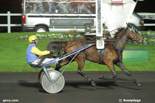 17/11/2015 - Vincennes - Prix Ostara : Arrivée