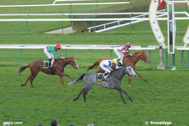 18/11/2015 - Compiègne - Prix des Haras : Result