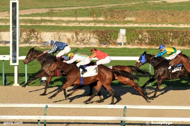 30/11/2016 - Deauville - Prix de Surville : Ankunft