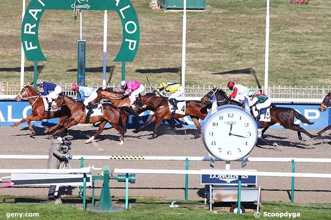 13/02/2021 - Chantilly - Prix de la Route des Genêts : Arrivée