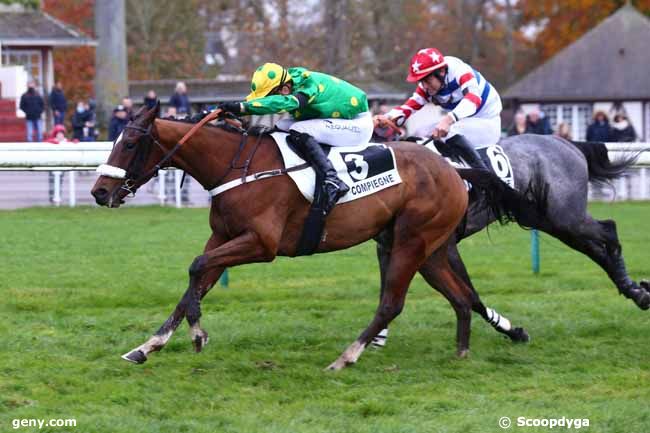 13/11/2021 - Compiègne - Prix Huron : Ankunft