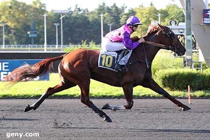 06/09/2024 - Vincennes - Prix Concordia : Arrivée