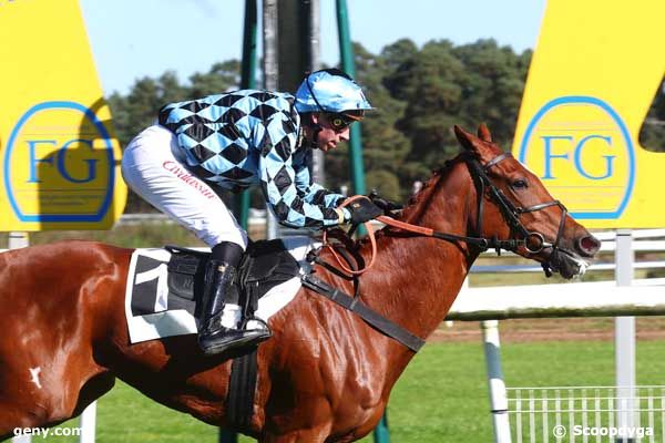 05/10/2024 - Fontainebleau - Prix de la Table du Roi (Peloton B) : Arrivée