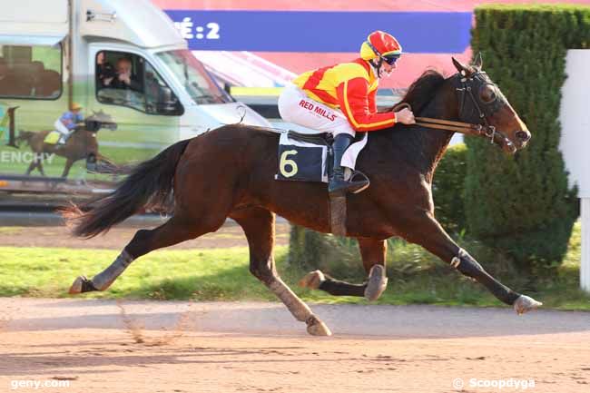 13/11/2024 - Rouen-Mauquenchy - Prix du Conseil Départemental : Arrivée