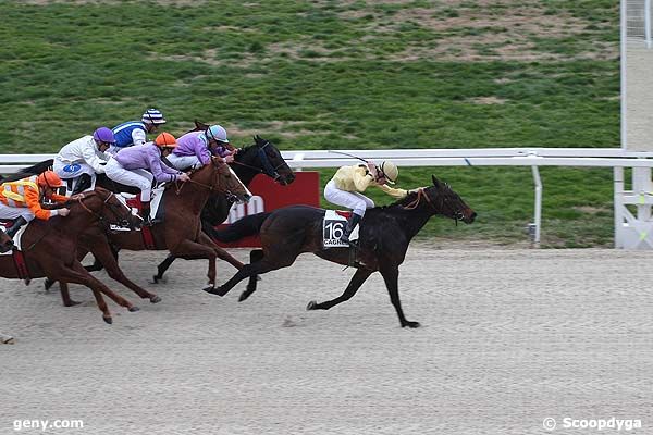 18/02/2009 - Cagnes-sur-Mer - Prix de Sainte-Maxime : Arrivée