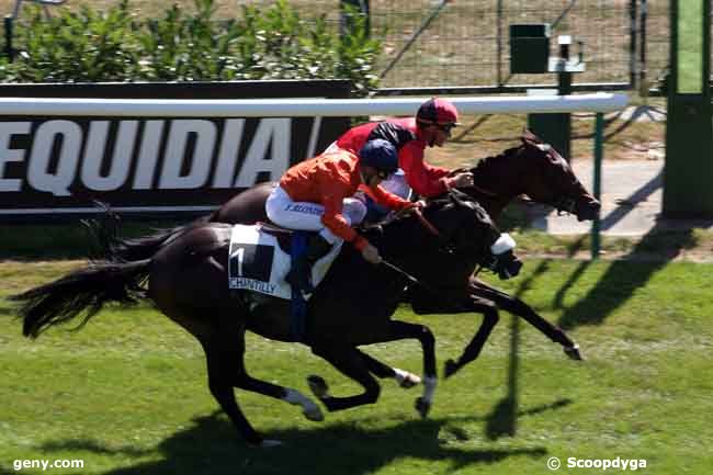 31/08/2009 - Chantilly - Prix du Canouvert : Arrivée