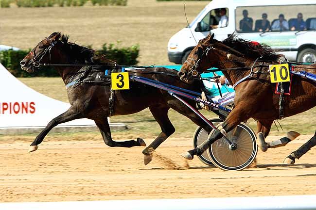 23/09/2009 - Argentan - Prix de la Manche (Gr A) : Ankunft