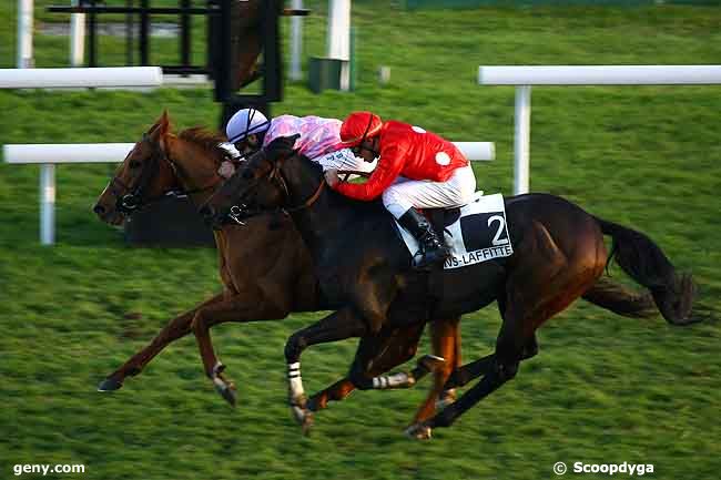 13/11/2009 - Maisons-Laffitte - Prix de Rambouillet : Arrivée