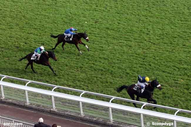 18/11/2009 - Auteuil - Prix Choute : Arrivée