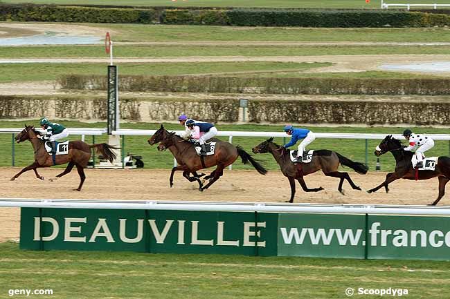 27/12/2010 - Deauville - Prix de la Mare Elan : Arrivée