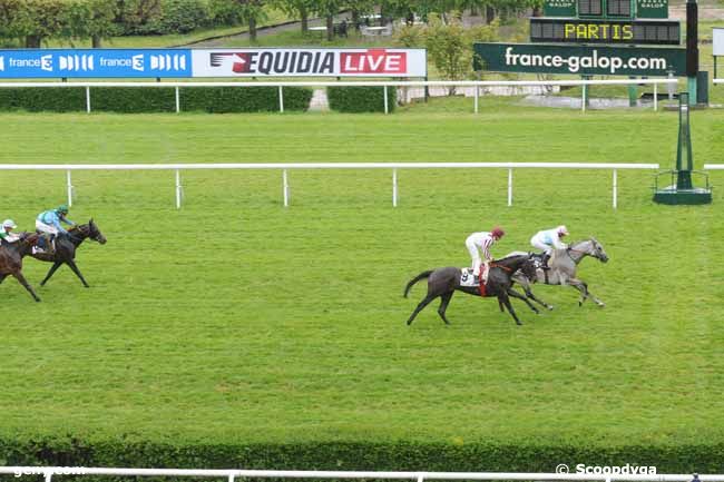 24/05/2013 - Saint-Cloud - Prix d'Orthez : Ankunft