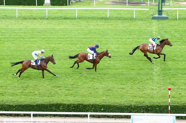 23/05/2016 - Saint-Cloud - Prix de la Lomagne : Arrivée