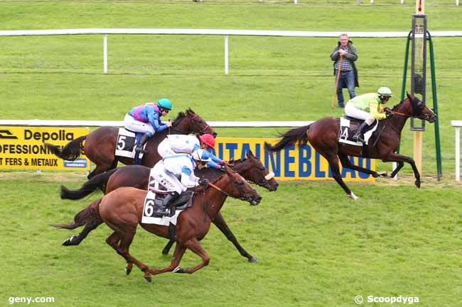 05/10/2017 - Fontainebleau - Prix Anne Fèvre : Arrivée