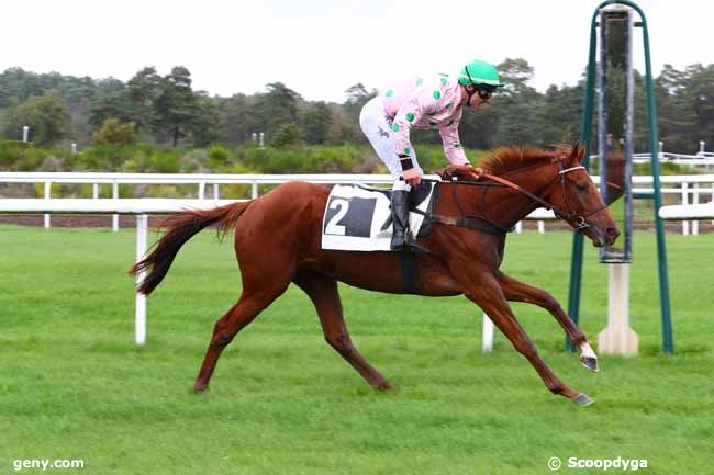 15/10/2019 - Fontainebleau - Prix d'Ury : Arrivée