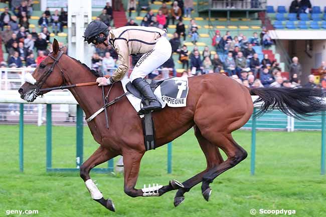 28/10/2023 - Compiègne - Prix Shandrani Beachcomber Resort & Spa (Prix de Saint-Raphaël) : Arrivée