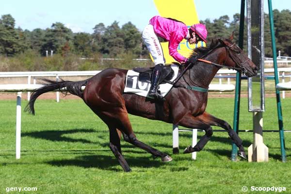 05/10/2024 - Fontainebleau - Prix des Aubépines (Prix du Simplon) : Arrivée