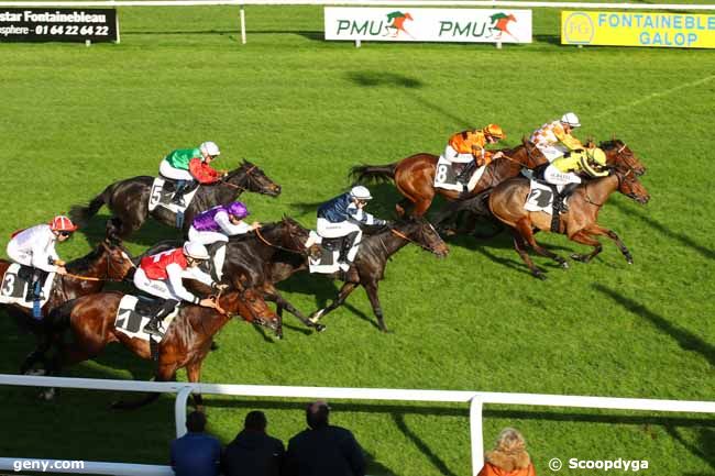 14/11/2024 - Fontainebleau - Prix de Vichy : Arrivée