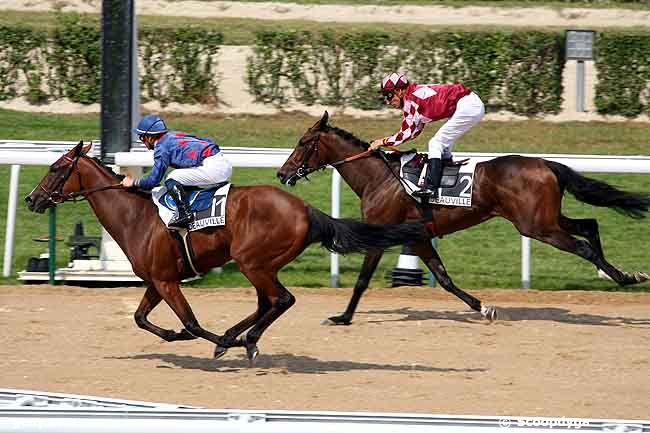 09/07/2010 - Deauville - Prix de Bolbec : Ankunft